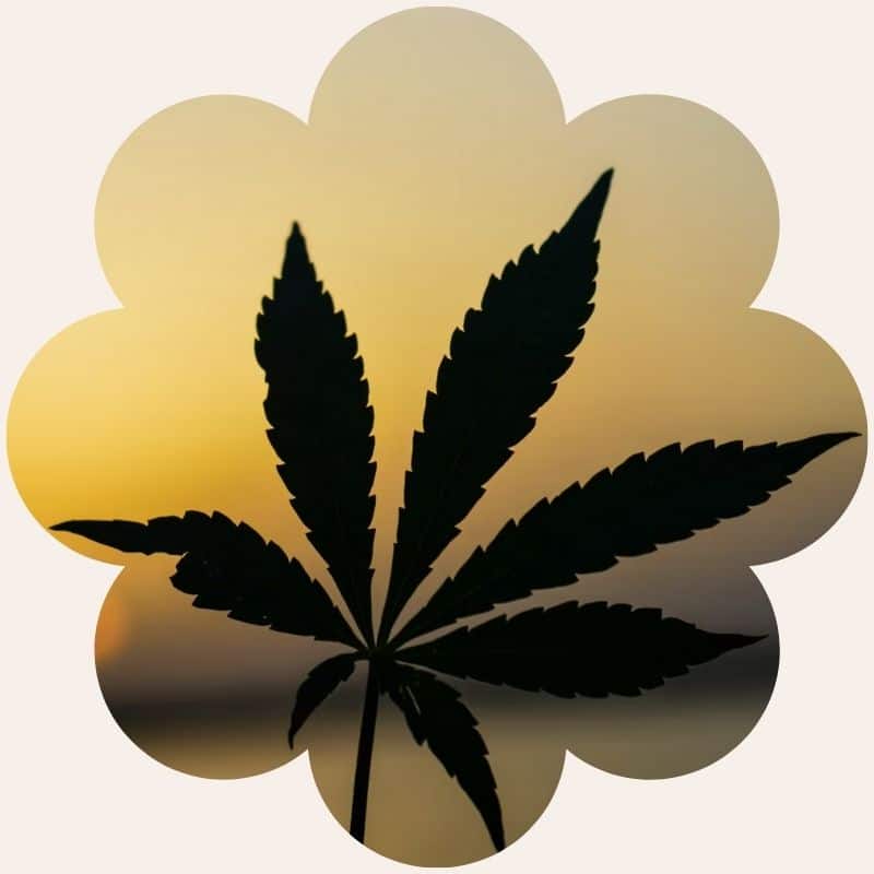 Les bienfaits du CBD sur le sommeil