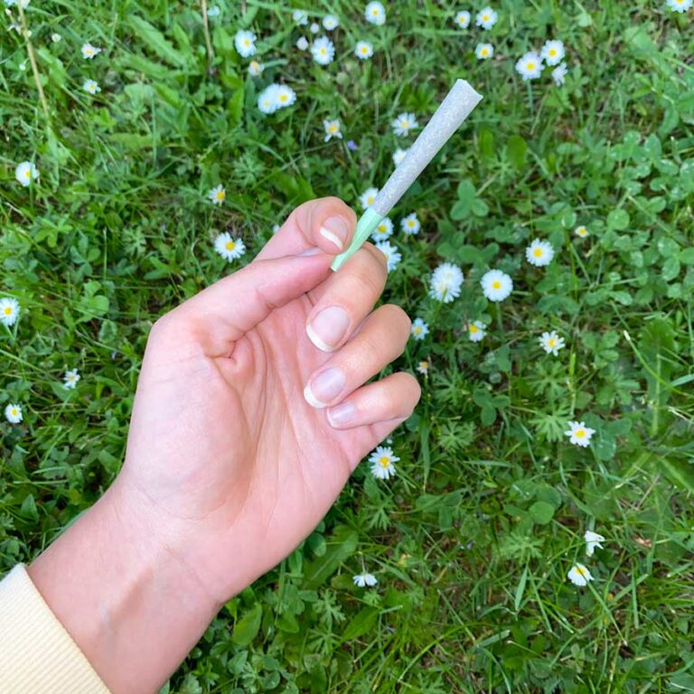 Quelles plantes peut-on fumer et pourquoi ? | Equilibre CBD